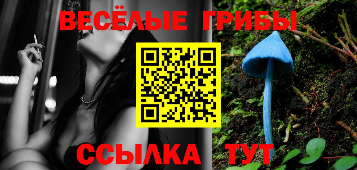 Троицк  Псилоцибиновые грибы прущие грибы  Псилоцибиновые грибы мицелий  Вход с VPN 