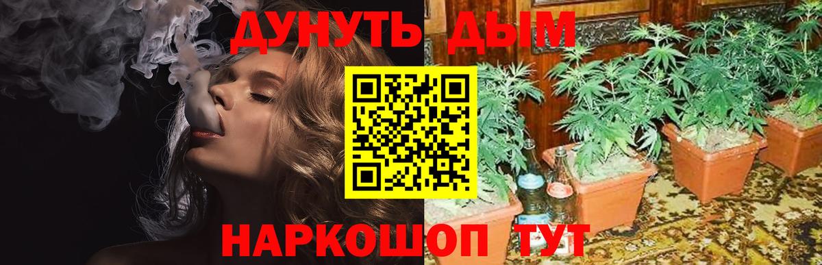 Конопля марихуана Троицк